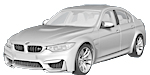 BMW F80 P325C Fault Code